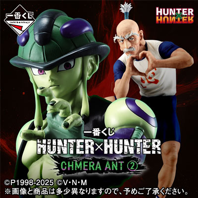 Kuji - Hunter x Hunter - Chmera Ant 2 - Otaku House