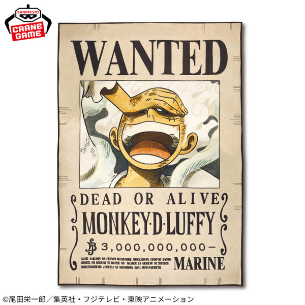 One Piece Monkey D. Luffy Wanted Poster Blanket - 45 Inches