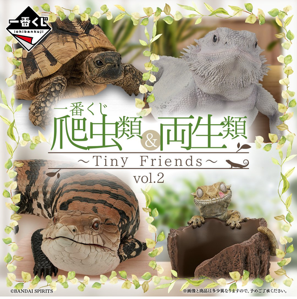 Kuji - Reptiles and Amphibians - Otaku House