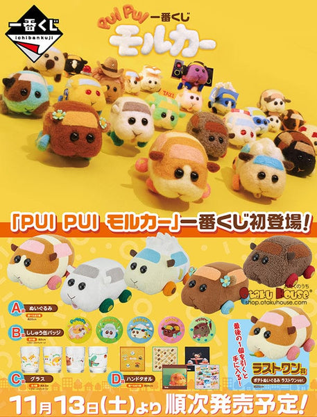 kuji-kuji-pui-pui-molcar-