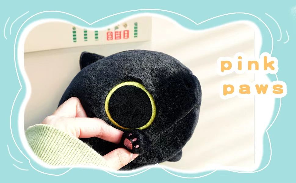 Sharkitty 20cm - 4