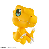 Digimon Adventure Lookup Digimon Adventure Agumon (844317) Repeat<br>[Pre-Order 14/03/26]