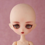 Harmonia bloom Anemone<br>[Pre-Order 11/01/26]