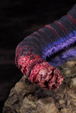 Shin Japan Hero Universe Godzilla <br>[Pre-Order 16/02/25]