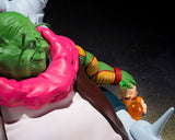 S.H.Figuarts Saichourou <br>[Pre-Order 06/09/25]