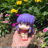 Ranma 1/2 Lookup TV Anime Ranma 1／2 Shampoo (847035)<br>[Pre-Order 15/09/25]