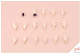 Sousai Shojo Teien Little Devil Twin Tails JK068<br>[Pre-Order 22/11/25]