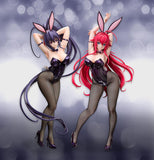 High School DxD Hero Akeno Himejima: Bunny Ver. (1/3 Scale)<br>[Pre-Order 25/10/26]