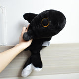 Sharkitty Shark Cat Plush Doll - Hey Hey 50cm