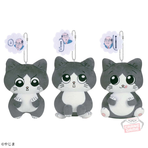 Old Man Reincarnated As A Cat Plush V1 (3)