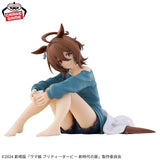 Uma Musume: Pretty Derby - Beginning of a New Era Relax time Agnes Tachyon