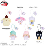 Official Capybara × Sanrio Characters Plush Mascot Vol. 1 collection featuring adorable plush mascots of Pompompurin, My Melody, Ahiru no Pekkle, Little Twin Stars (Kiki & Lala), and Badtz-Maru in a cute Capybara collaboration. 