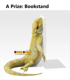Ichiban Kuji - Reptiles and Amphibians - Tiny Friends Vol.3 (Full Set of 80) <br>[Pre-Order]