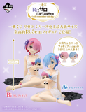 Kuji - Re:Zero - I Will Remember This Day (Full Set of 66)<br>[Pre-Order]