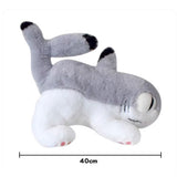 Sharkitty Plush Toy - Standing Position (16 Inches)