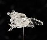 Figurines R-Type Dobkeratopsc Figma No.SP-133<br>[Pre-Order 11/01/26]