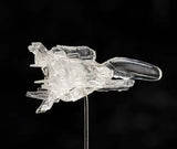 Figurines R-Type Dobkeratopsc Figma No.SP-133<br>[Pre-Order 11/01/26]