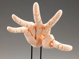 Figurines Takahiro Kagami Artist Support Item Hand Model / R -Pale Orange (AT021) Re-run<br>[Pre-Order 20/01/26]
