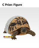 Kuji Ichiban Kuji - Reptiles and Amphibians Tiny Friends Vol.2