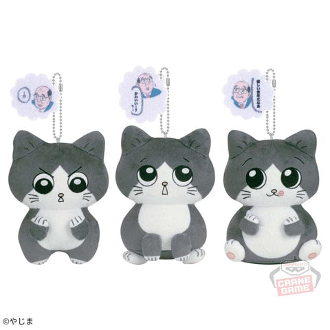 Plush Old Man Reincarnated As A Cat Plush V1 (3)