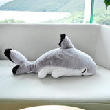 Plush Sharkitty Shark Cat Plush Doll - 50cm