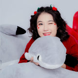 Plush Sharkitty Shark Cat Plush Doll - 70cm