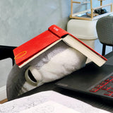 Plush Sharkitty Shark Cat Plush Doll - 70cm