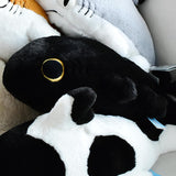 Plush Sharkitty Shark Cat Plush Doll - Hey Hey 50cm