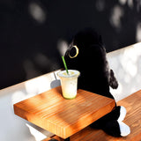 Plush Sharkitty Shark Cat Plush Doll - Hey Hey 70cm