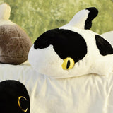 Plush Sharkitty Shark Cat Plush Doll - Milk Shark - 50cm