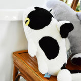 Plush Sharkitty Shark Cat Plush Doll - Milk Shark - 50cm