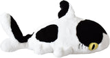 Plush Sharkitty Shark Cat Plush Doll - Milk Shark - 50cm