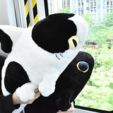 Plush Sharkitty Shark Cat Plush Doll - Milk Shark 70cm