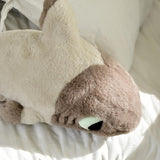 Plush Sharkitty Shark Cat Plush Doll - Siamese Shark Cat 50cm