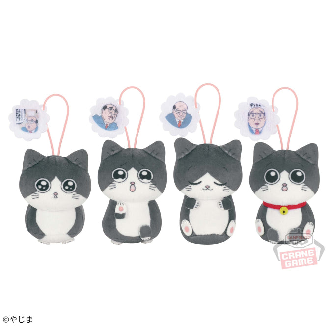 Plush The Old Man Reincarnated As A Cat Stuffed Plush