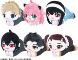 [Blind Box] Spy X Family Hug x Chara Collection 2